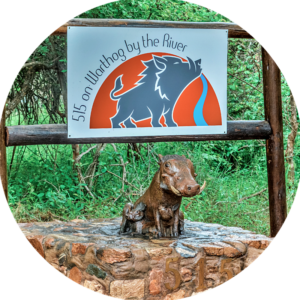 #515onwarthog